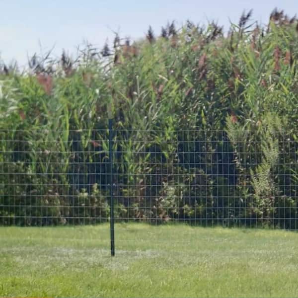 1-3/4 in. x 3-1/2 in. x 6 ft. Green Steel Fence T-Post with Anchor Plate