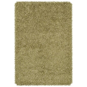 Curtsi Willow 5 ft. x 8 ft. Solid Color Area Rug