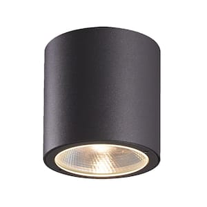 Sky Collection 1-Light Graphite Grey Outdoor LED Flush Mount