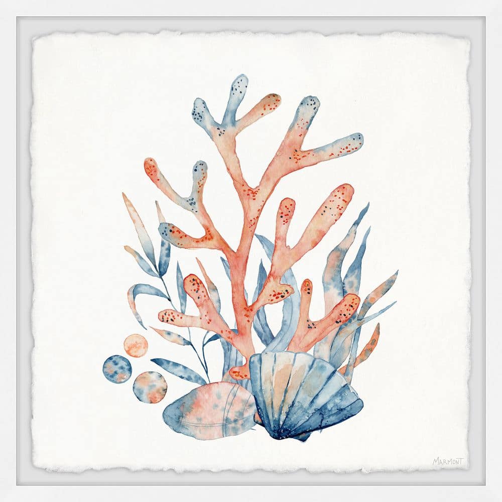 Coral and Shells by Marmont Hill Framed Nature Art Print 12 in. x 12 in.