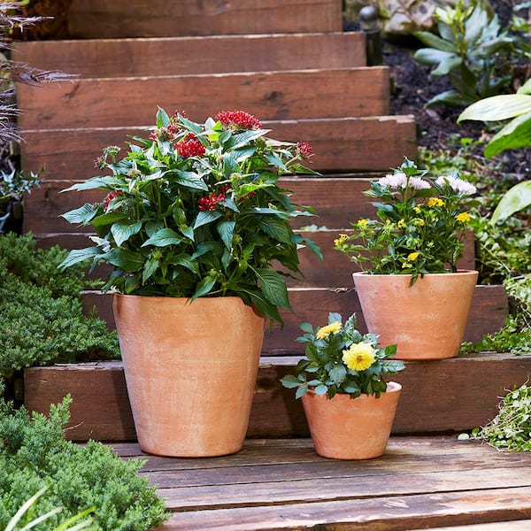 Terra Cotta Clay Pots — Sunset Blvd Nursery