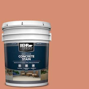 5 gal. #PFC-12 Nuevo Terra Solid Color Flat Interior/Exterior Concrete Stain