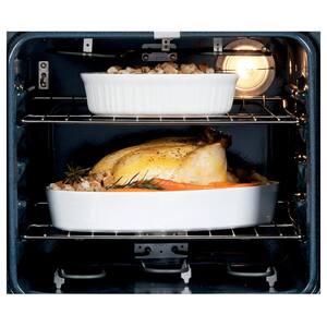 24 in. Single Electric Wall Oven Self-Cleaning in Black