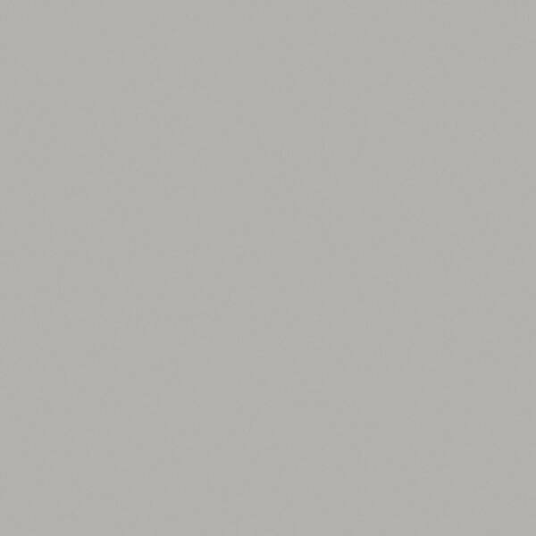Wilsonart 3 ft. x 10 ft. Laminate Sheet in Platinum with Matte Finish