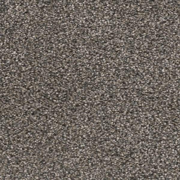 Home Decorators Collection Fall Skies I  - Pumpkin Seed - Gray 48 oz. SD Polyester Texture Installed Carpet