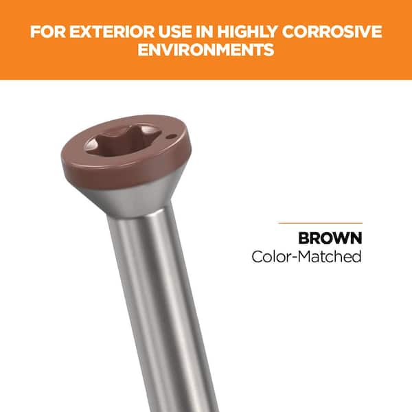 2-1/2 in. #8 316 Stainless Steel Brown Premium Star Drive Trim Screws (100-Count)