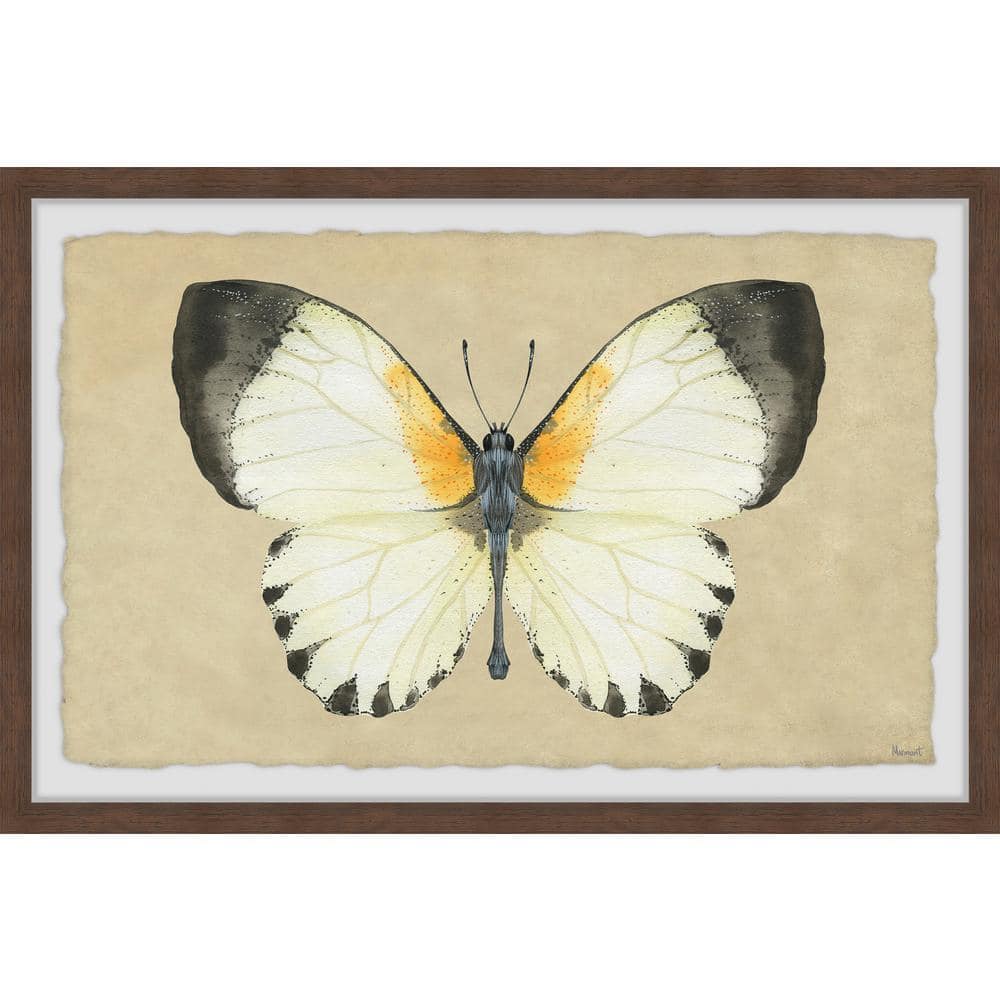 Delicate Beauty by Marmont Hill Framed Animal Art Print 8 in. x 12 in.