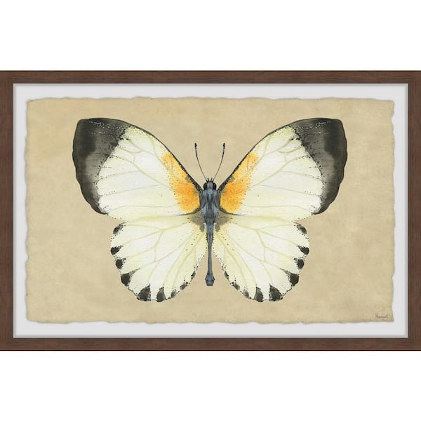 Unbranded "Delicate Beauty" by Marmont Hill Framed Animal Art Print 8 in. x 12 in.