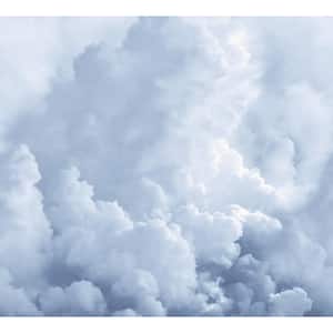 In The Clouds Sky Blue Novelty Wall Mural Sample