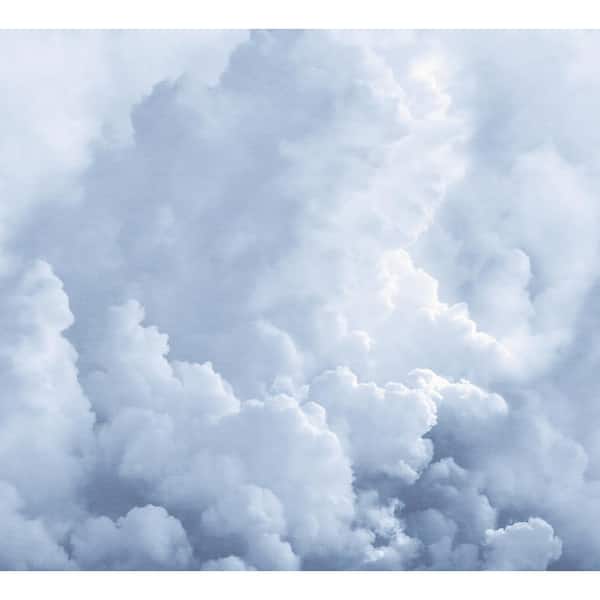 REMIX WALLS In The Clouds Sky Blue Novelty Wall Mural Sample