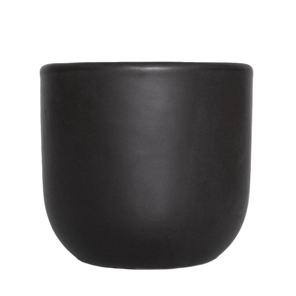 30" Black Ceramic Braided Money Tree Indoor Plant