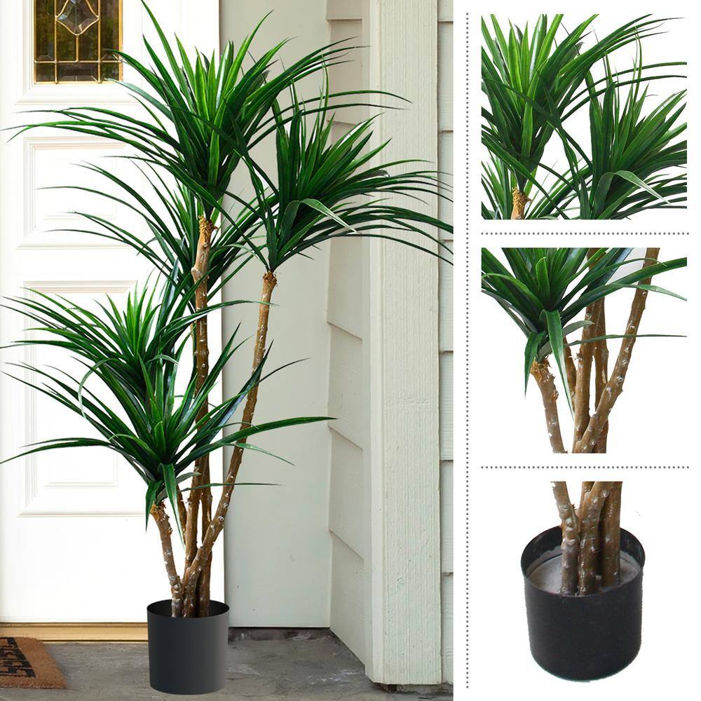 51" Green Tropical Yucana Artificial Tree in Black Plastic Pot