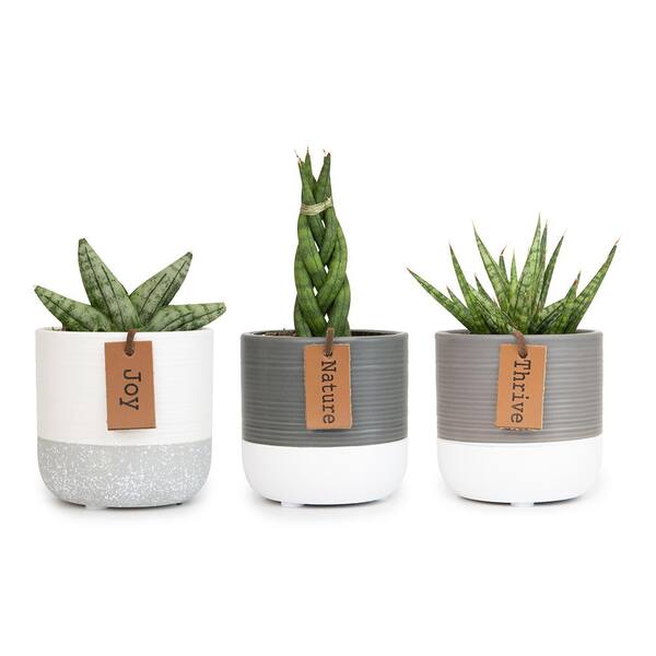 Reusable Ice Snake 3 Pack 