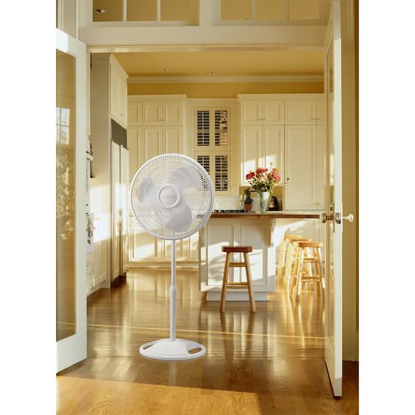 Lasko 16 Oscillating Pedestal Floor Fan with Multiple Speed Options, Fully  Adjustable Height & Safety Fused Plug Included, White Finish 