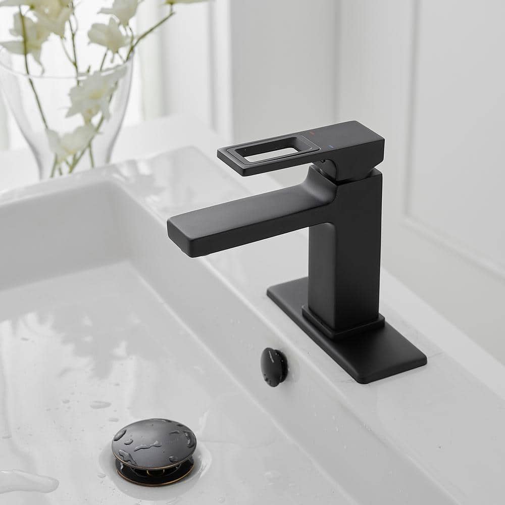 Matte Black Single-Handle Bathroom Faucet with Drain Assembly