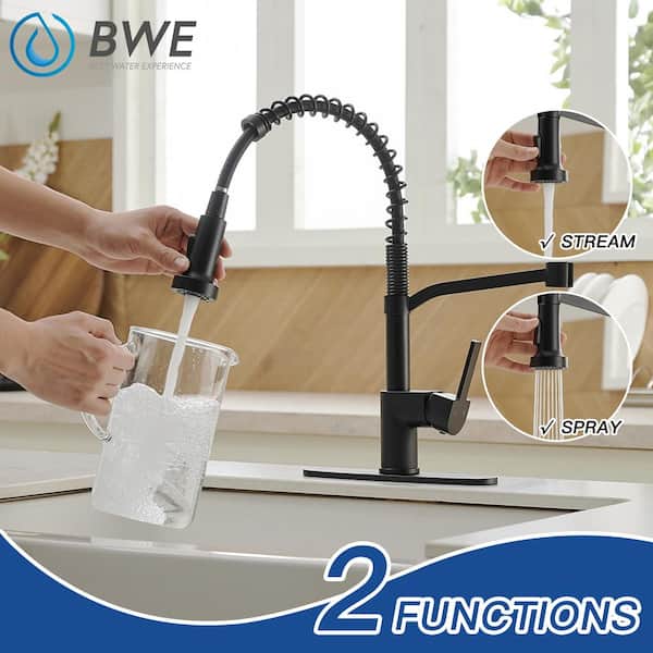 Single-Handle Pull-Down Sprayer 2 Spray High Arc Kitchen Faucet With Deck Plate in Matte Black