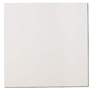 Paintable White Fabric Square 48 in. x 48 in. Sound Absorbing Acoustic Insulation Wall Panels (2-Pack)