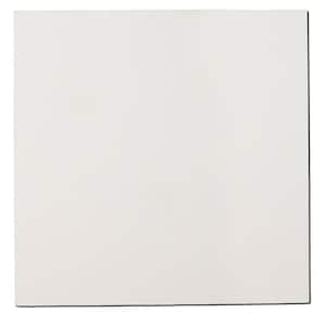 Paintable White Fabric Square 24 in. x 24 in. Sound Absorbing Acoustic Panels (2-Pack)