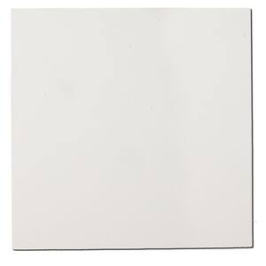 Paintable White Fabric Square 48 in. x 48 in. Sound Absorbing Acoustic Insulation Wall Panels (2-Pack)