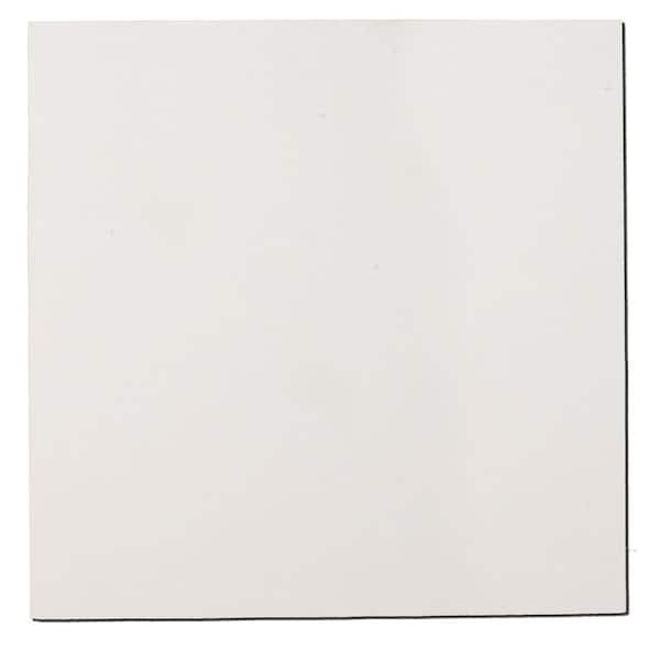 Unbranded Paintable White Fabric Square 24 in. x 24 in. Sound Absorbing Acoustic Panels (2-Pack)