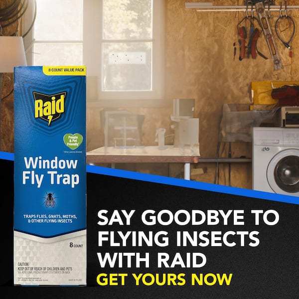Raid Raid Window Fly Trap 8PK-FTRP-RAID - The Home Depot