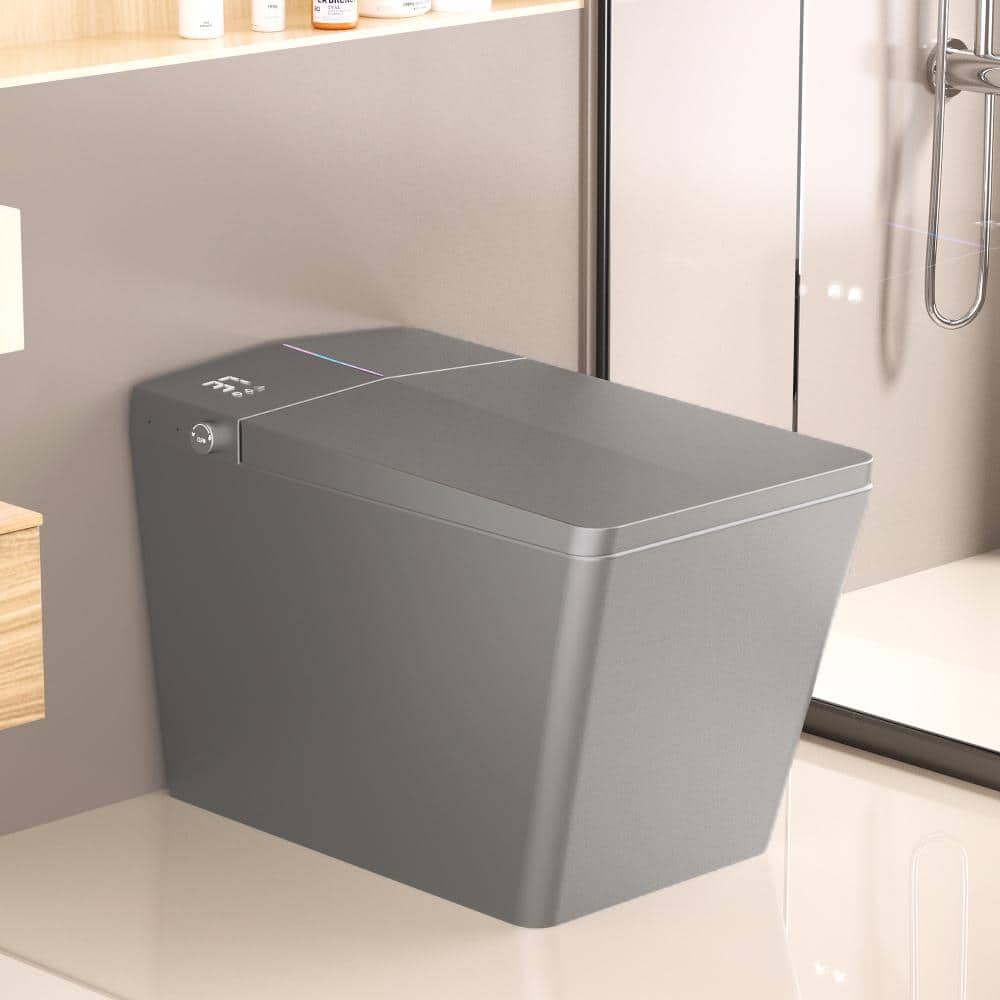 Matte Grey Square Smart Toilet, Built-in Tank, Remote, Foot Open, Auto Flush, Heated Seat, LED & User Memory price history on PriceWatchPro