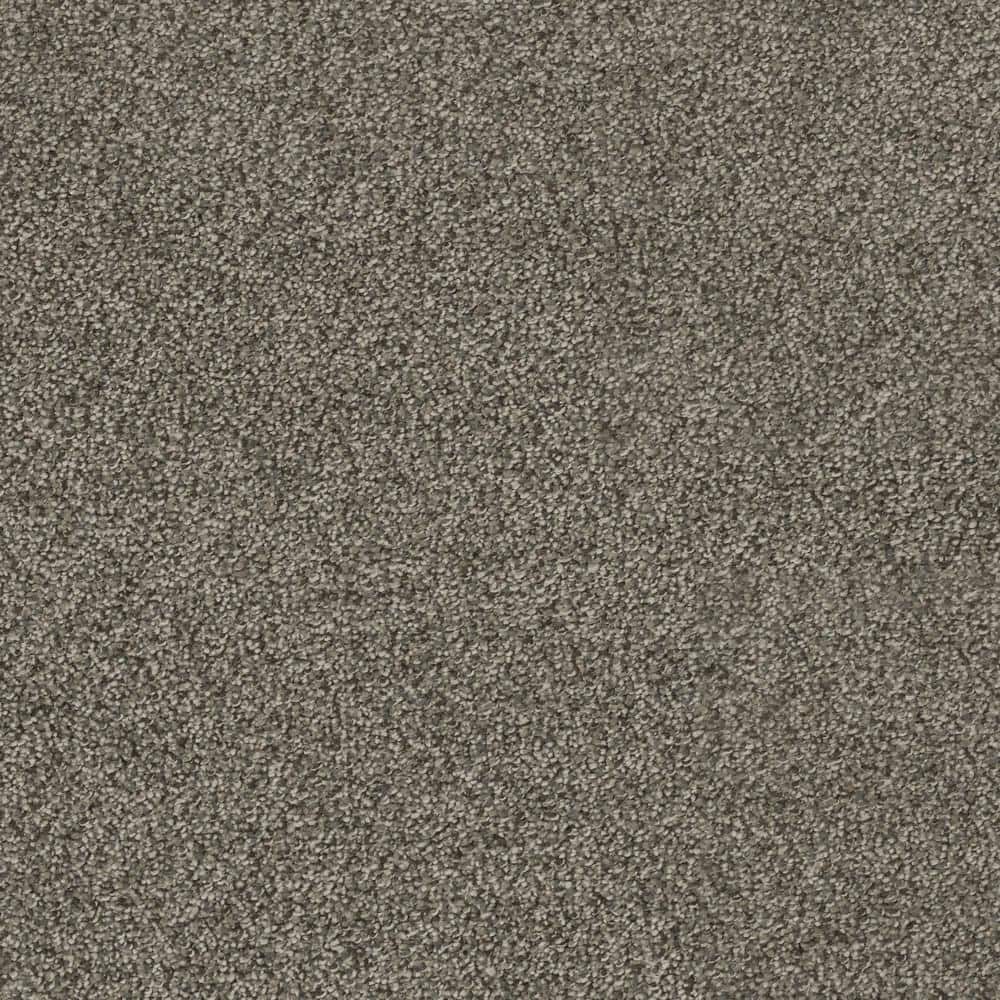 8 in. x  8 in. Texture Carpet Sample - Moonlight -Color Gaze price history on PriceWatchPro