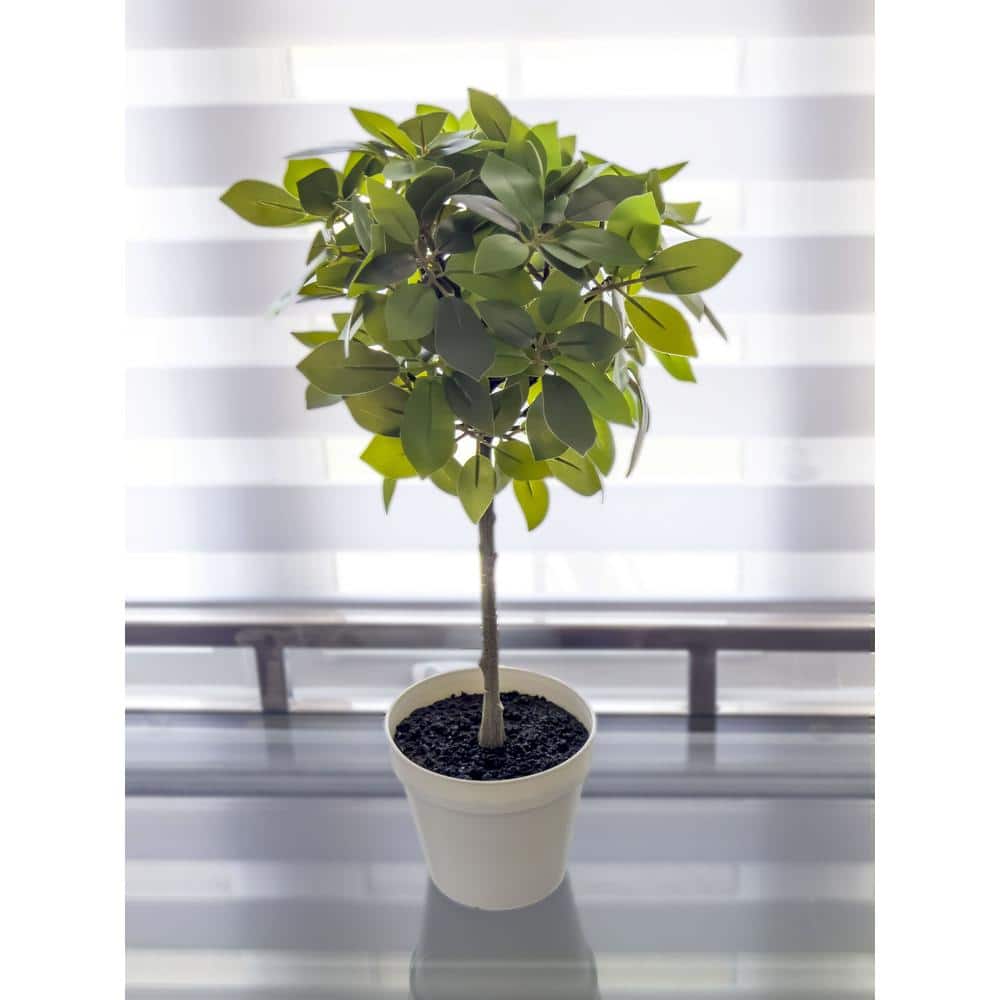 18" Silk Weeping Ficus in White Plastic Pot