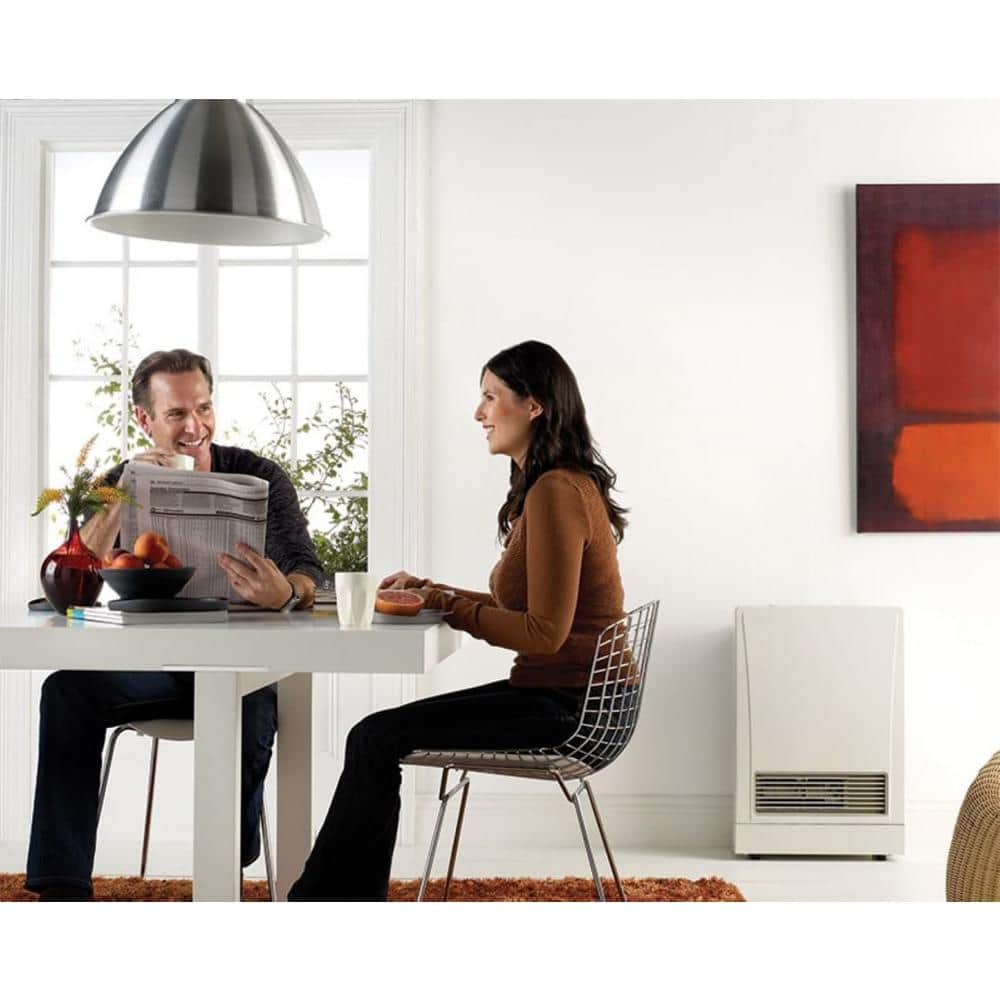 White Wall-Mounted Propane Gas Heater with Thermostat