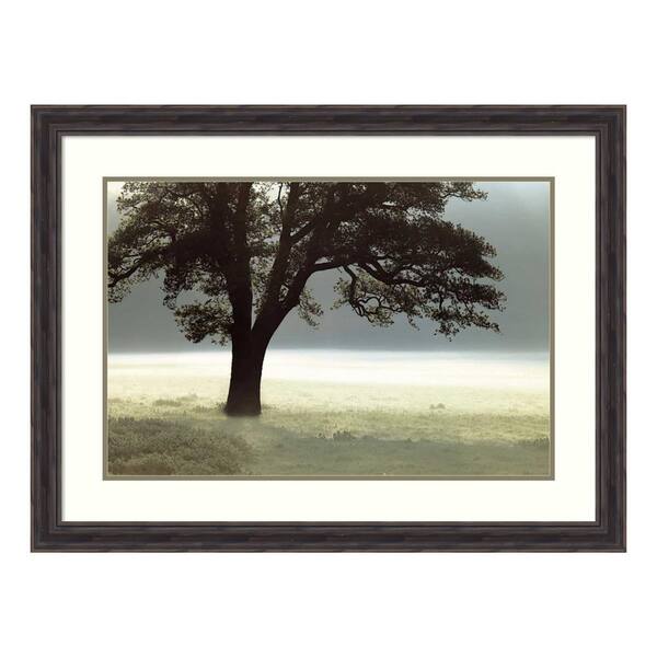 Amanti Art "Enlighten Me" by Assaf Frank Framed Wall Art