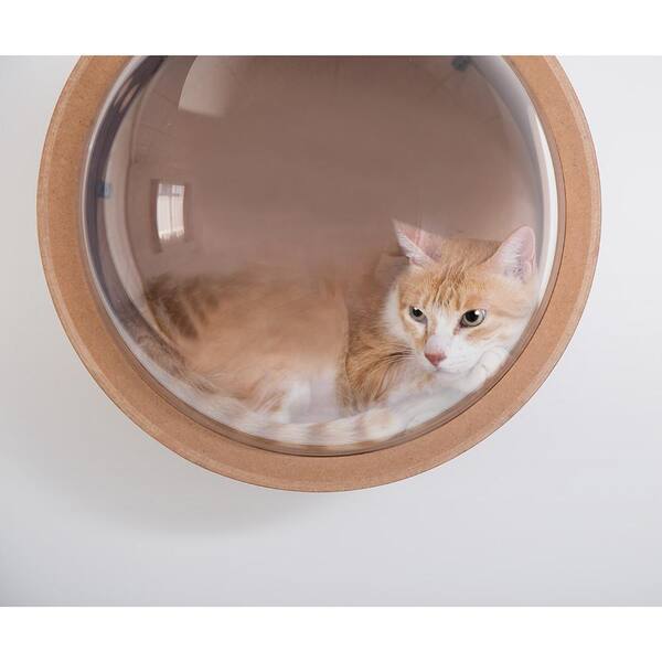 cat bubble bed