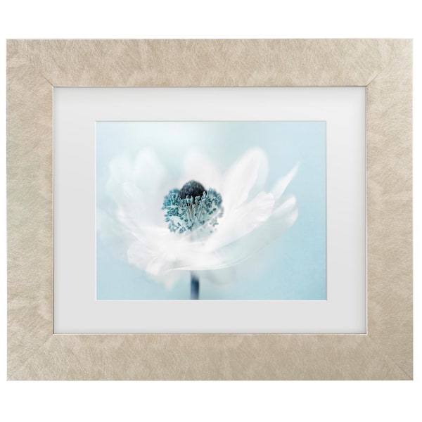 Trademark Fine Art Jacky Parker Candy Floss Matted Framed Photography Wall Art 14.5 in. x 17.5 in.