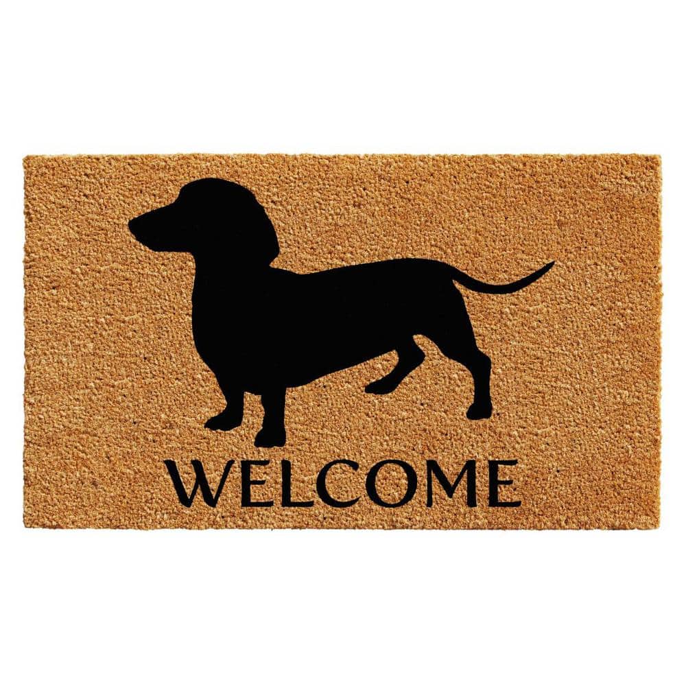 Multi-Colored 29 in. x 17 in. Coir Non-Slip Indoor/Outdoor Door Mat price history on PriceWatchPro