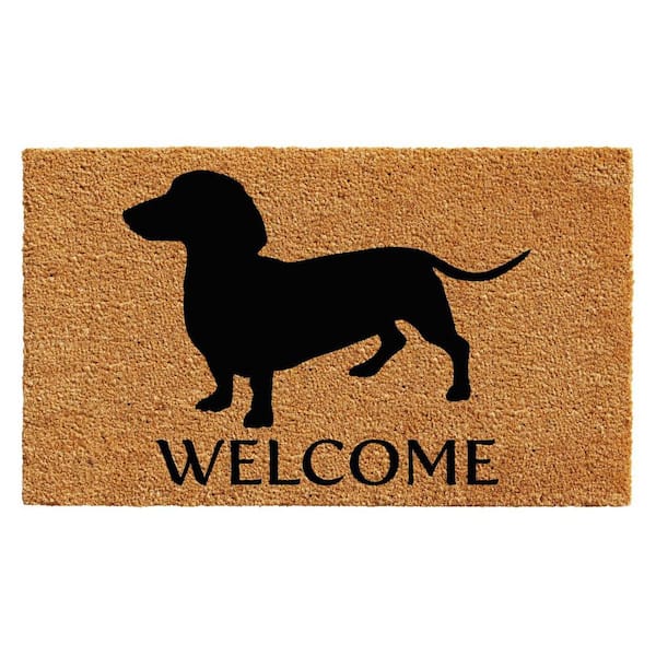 HomeRoots Multi-Colored 29 in. x 17 in. Coir Non-Slip Indoor/Outdoor Door Mat
