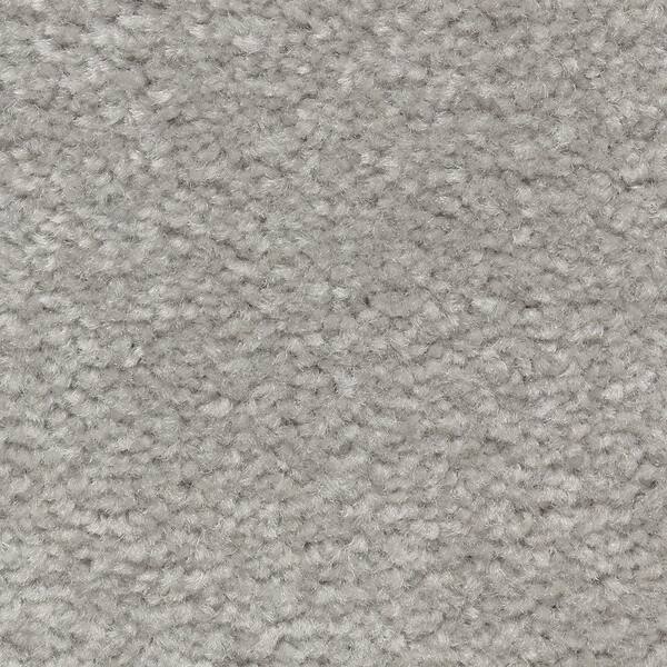 Lifeproof Carpet Sample - Best Wishes II - Color Cumulus Texture 8 in. x 8 in.