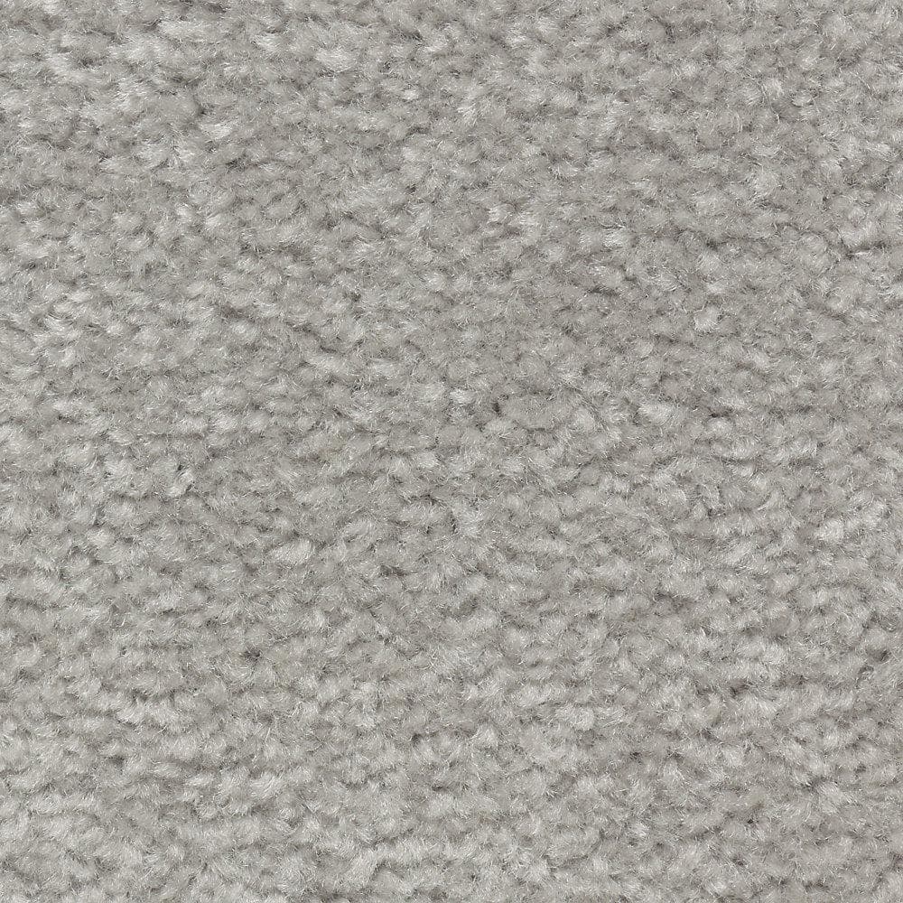 8 in. x 8 in. Texture Carpet Sample - Mason I -Color Sterling price history on PriceWatchPro