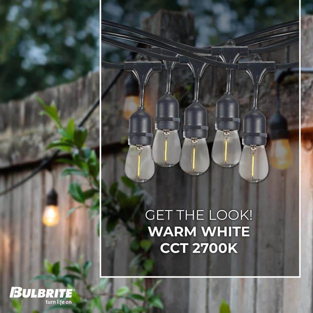 14-Foot Black String Light Kit with Clear LED Bulbs