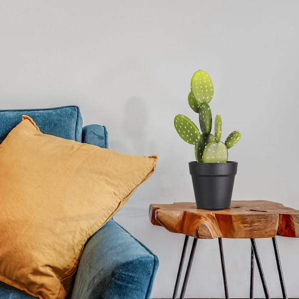 Oumilen 17 in. Green Small Artificial Potted Cactus for Home