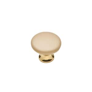 Tan Sta Keeln Faux Leather Covered 1-1/8 in. Burnished Brass/Tan Cabinet Knob