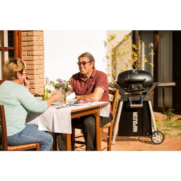 NAPOLEON TravelQ PRO285 2-Burner Natural Gas Grill in Black with