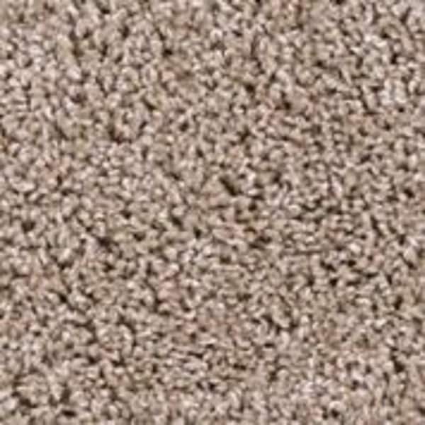 TrafficMaster 8 in. x 8 in. Texture Carpet Sample - Founder -Color Author