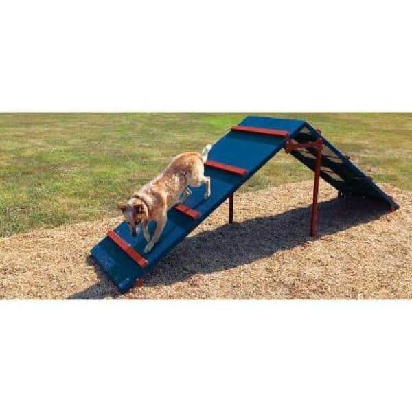 How to Make a DIY Dog Obstacle Course at Home, Hill's Pet