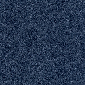 Lifeproof 8 in. x 8 in. Texture Carpet Sample - Karma I - Color Realm ...