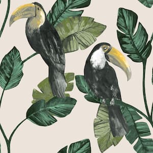 Neutral Tropical Double Roll Toucans Easy to Remove Tropical Wallpaper