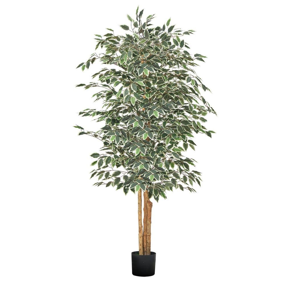 6FT. Artificial Ficus Tree with Black Pot, Tall Faux Ficus Plant with Natural Wood Trunk and Realistic Green Leaves price history on PriceWatchPro