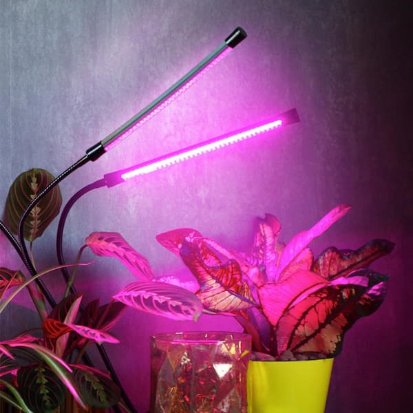 10 watt led grow light