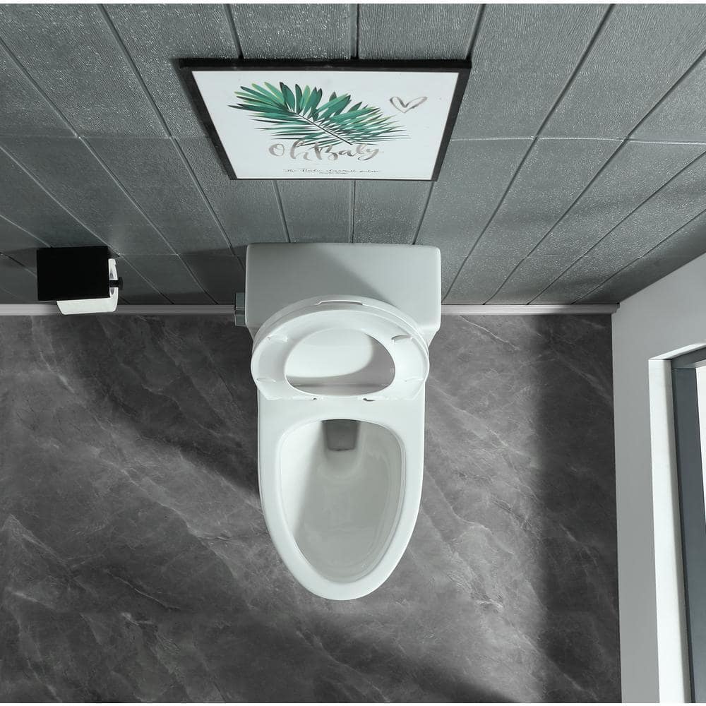 Glossy White Elongated One-Piece Dual Flush Toilet