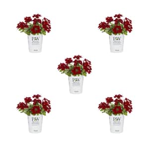 1.5 Pt. Verbena Superbena Red Red Annual Plant (5-Pack)