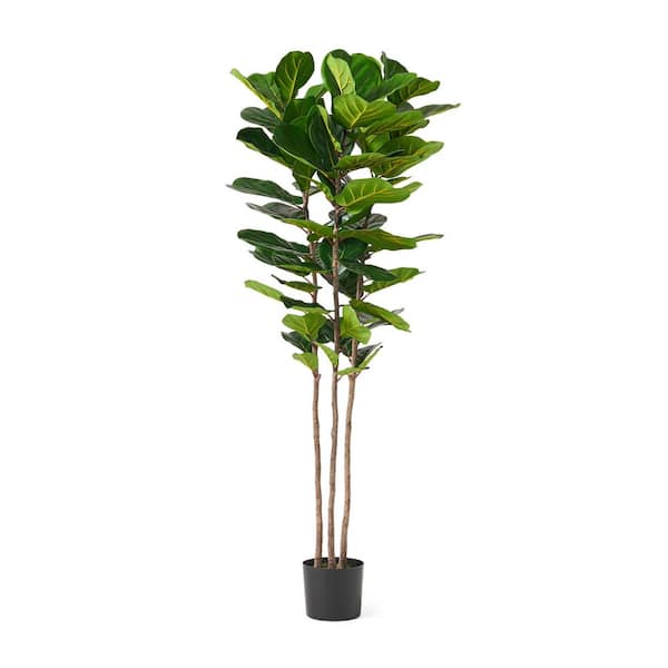 Afoxsos 6ft Artificial Fiddle Leaf Fig Tree in Pot