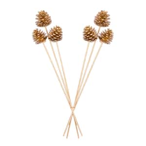 Bindle & Brass 12 in. Gold Sparkle Tip Dried Natural Sugar
